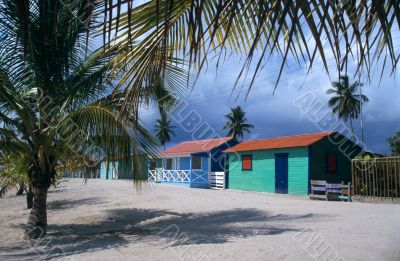 Saona island village and palm trees- Dominican republic