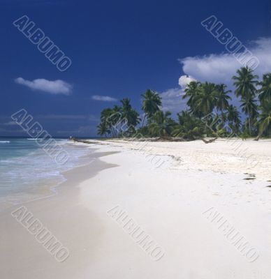 Saona island beach- Dominican republic