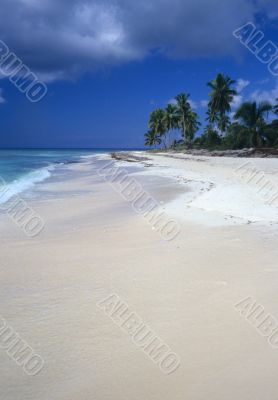 Saona island beach - Dominican republic