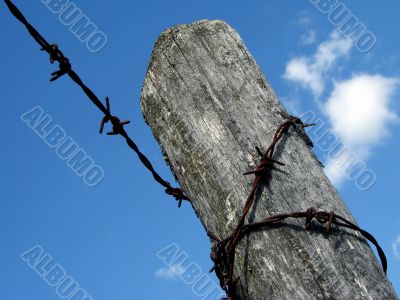 barbed wire fence