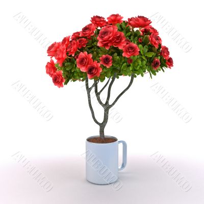 Rosebush grow from cup