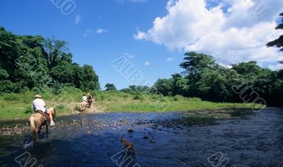 Horse riding crossing a river  in Dominican republic