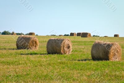 haystacks