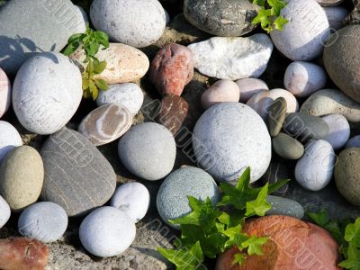 The composition of the stones