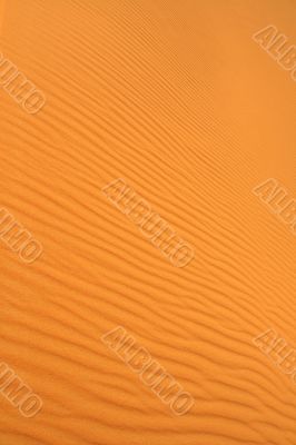 sand dunes wavy texture