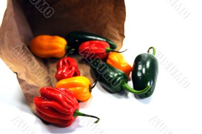 chillies in a brown bag