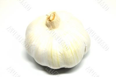 garlic over white