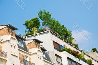 Roof garden