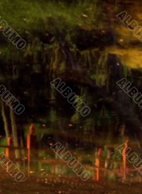 reflection of foot bridge in pond