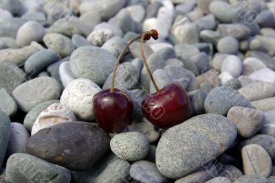 Cherry on stone
