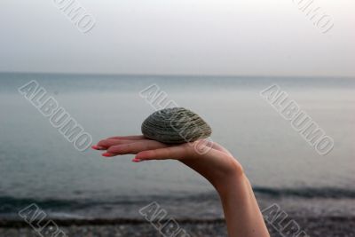 stone on hand