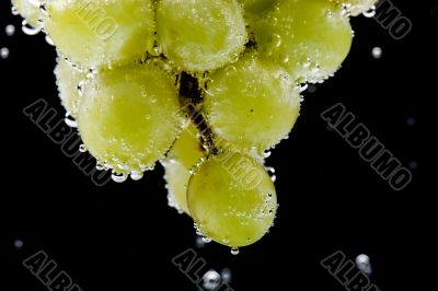 grapes on black grapes on black