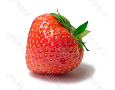 red strawberry