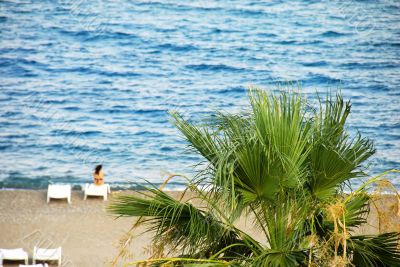 Beach landscape