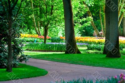 Keukenhof Park