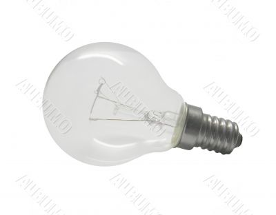 Bulb photo on a white background