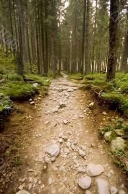 Pathway Pathway