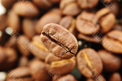 One focused coffee bean in front One focused coffee bean in front