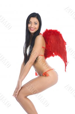 Sexual angel  on insulated background