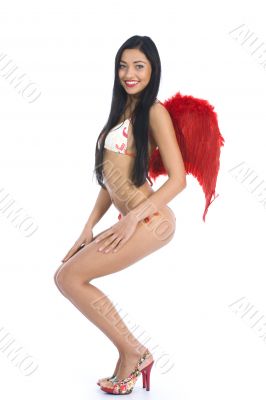 Sexual angel  on insulated background