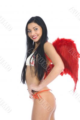 Sexual angel  on insulated background