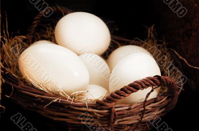Some ostrich eggs in basket Some ostrich eggs in basket