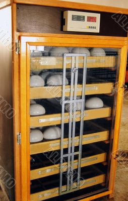 Ostrich egg incubating machine