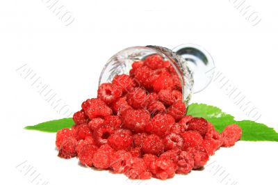 raspberries and a glass