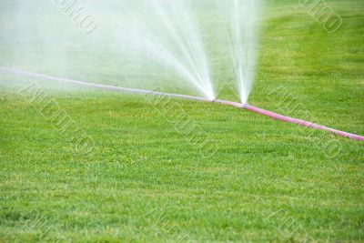 Sprinkling on grass from damaged hose