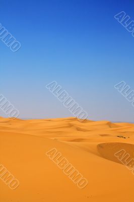 sand dunes vertical