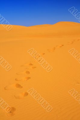 footsteps on sand dunes