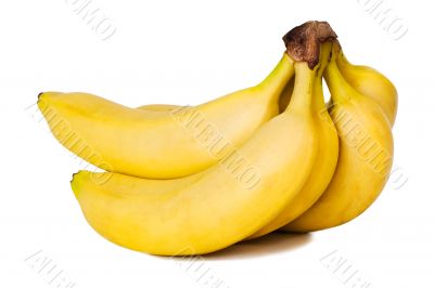 Bunch of bananas. Isolated