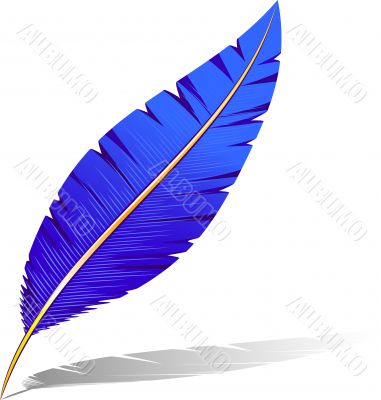 Feather