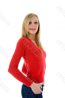 Portrait of the young beautiful girl