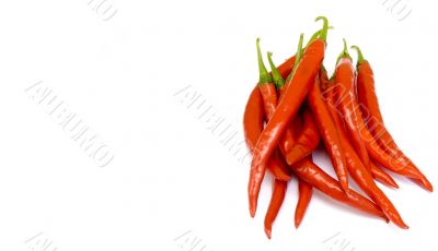 Fresh Ripe Cayenne Peppers