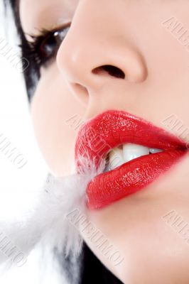 portrait of the brunette with plume