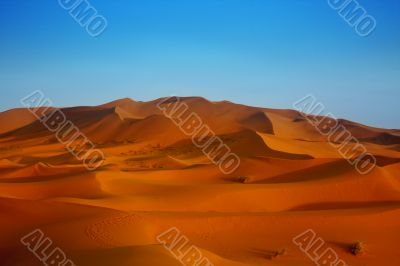 sunset over sand dunes