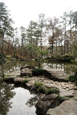 Tranquil Pond