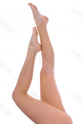 Woman legs