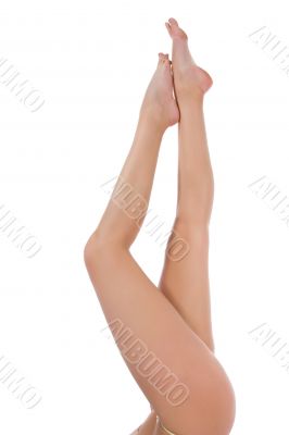 Woman legs