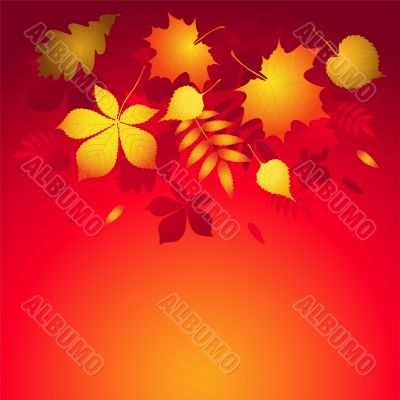 Vector background with autumn leaves.