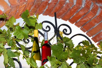 Wine bottles between vine leaves on brick window