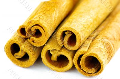 Cinnamon sticks on white background