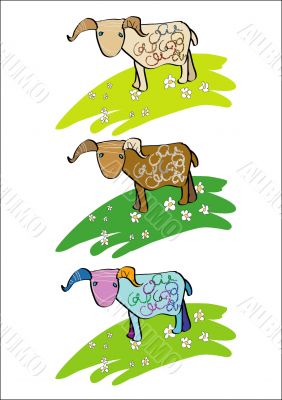 Lamb, ram, sheep, horned, blue-eyed