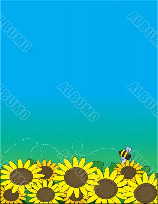 Sunflowers Sunflowers