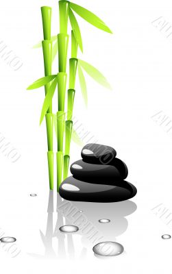 SPA. Bamboo and black stones.