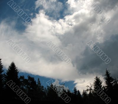  Storm clouds over the forest. Backlight