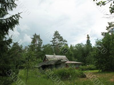  Cottage in the woods. Cloudy day