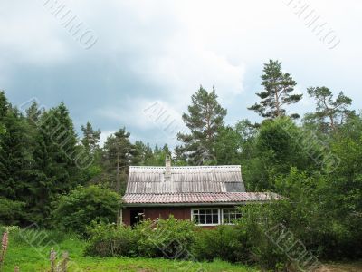  Cottage in the woods. Cloudy day