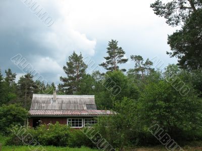  Cottage in the woods. Cloudy day